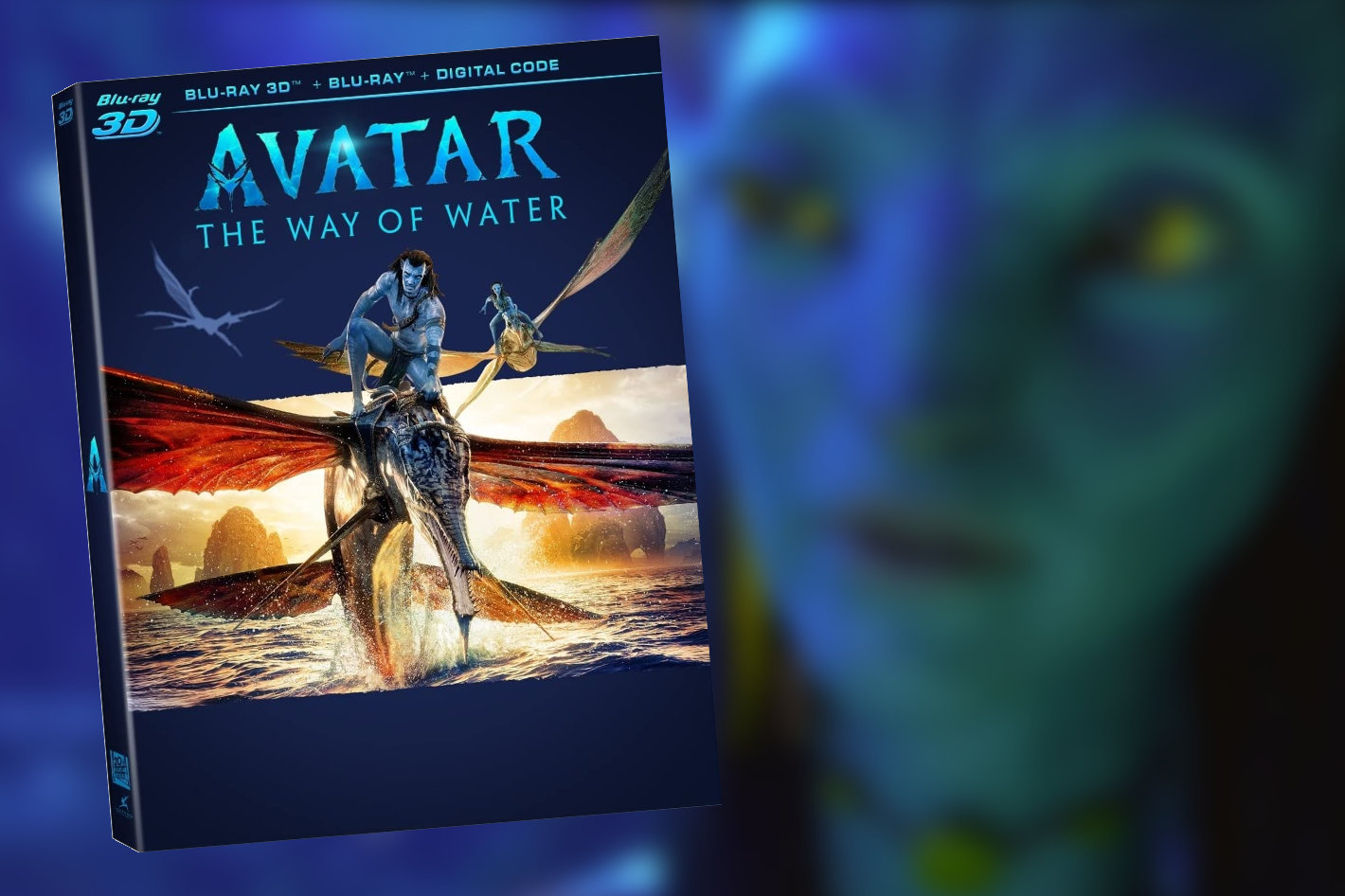 Avatar: The Way of the Water, a 3D Blu-ray to watch home in VR
