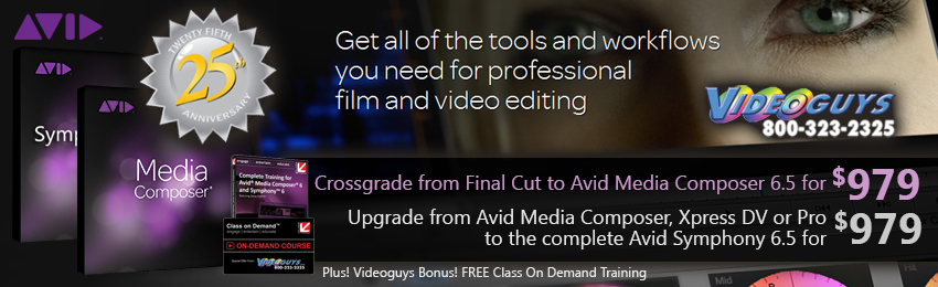 avid25th-header.jpg