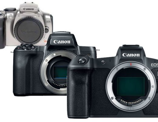 Canon celebrates 16 years leading the market, according to a company's survey