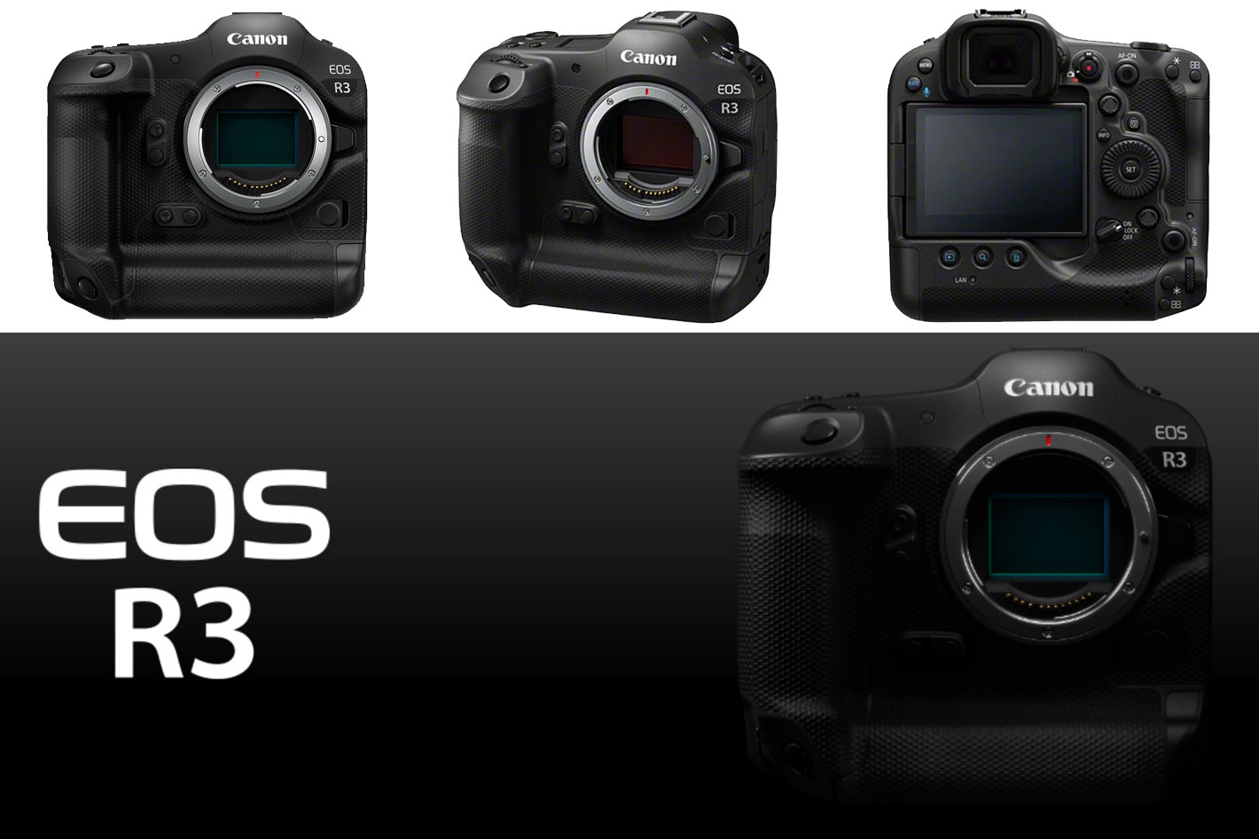 Canon EOS R3 will shoot RAW at 30fps, RAW footage internally