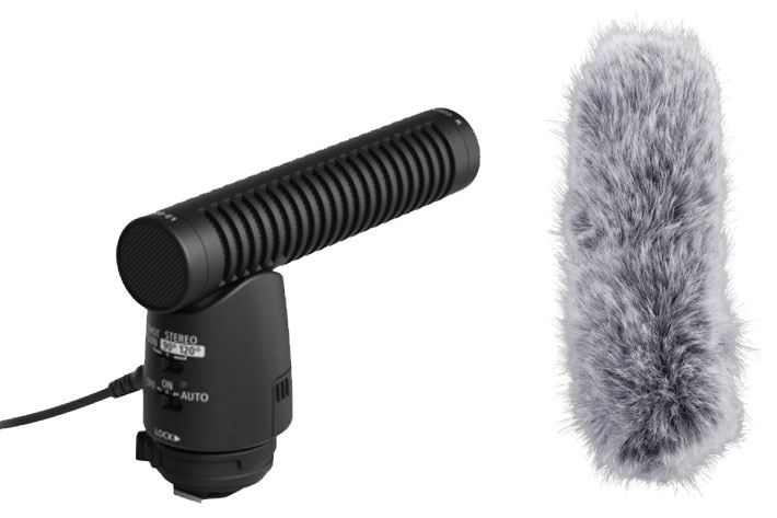 Directional Stereo Microphone DM-E1