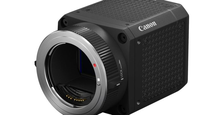 Canon ML-105 EF: a new camera for wildlife documentaries