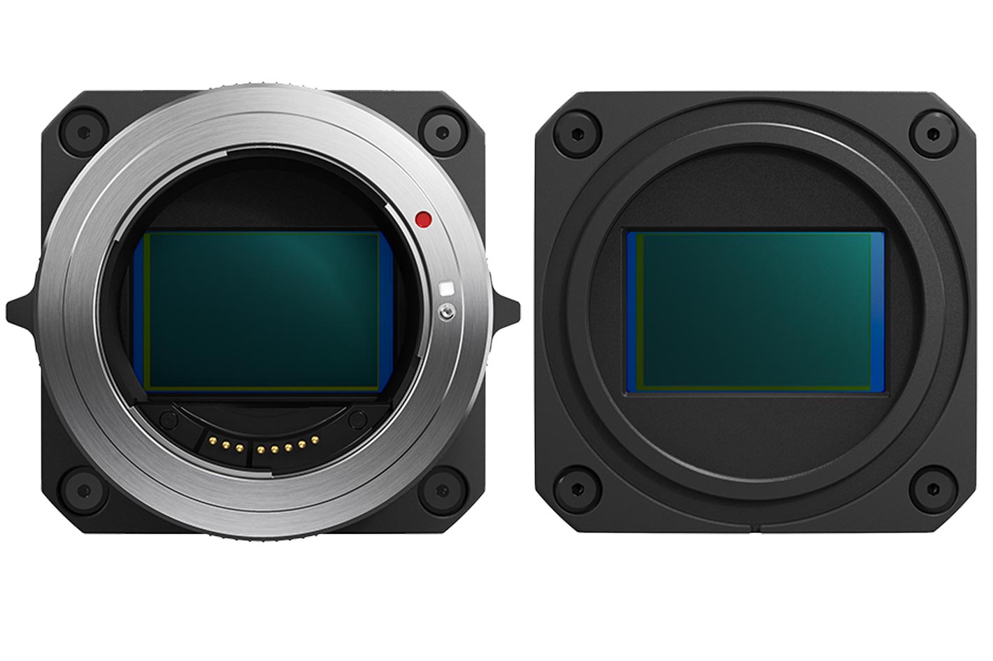 Canon ML-105 EF: a new camera for wildlife documentaries