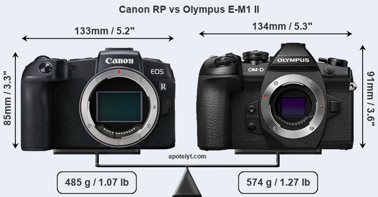 Canon EOS RP: is this a mirrorless EOS 300D?