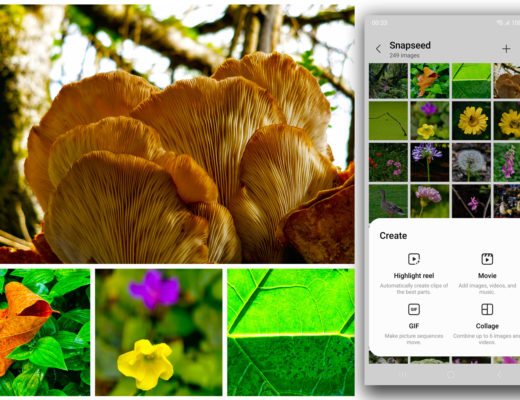 A photo collage app hidden inside Samsung smartphones