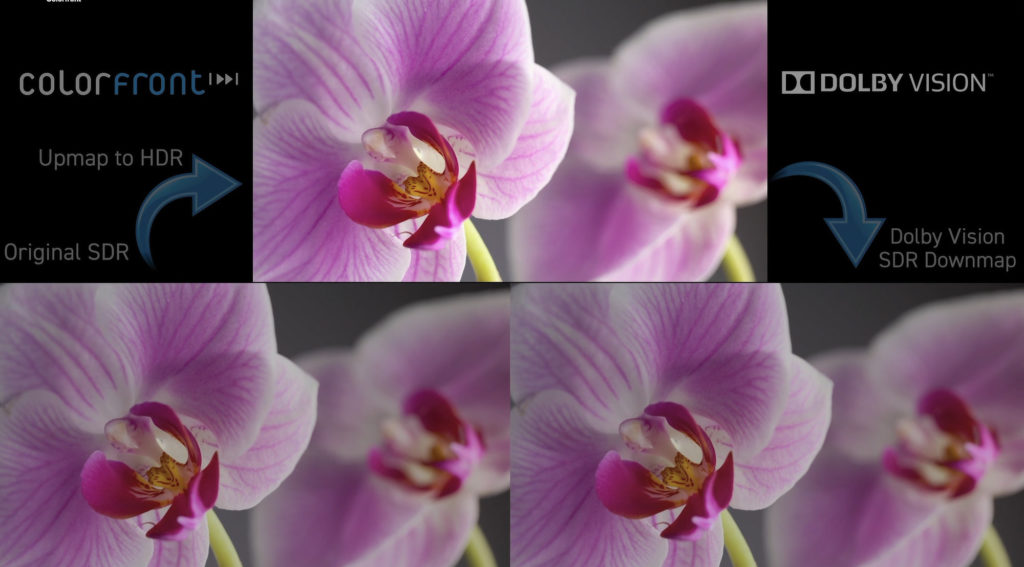 NAB 2024: Colorfront reveals support for Apple Vision Pro by Jose ...