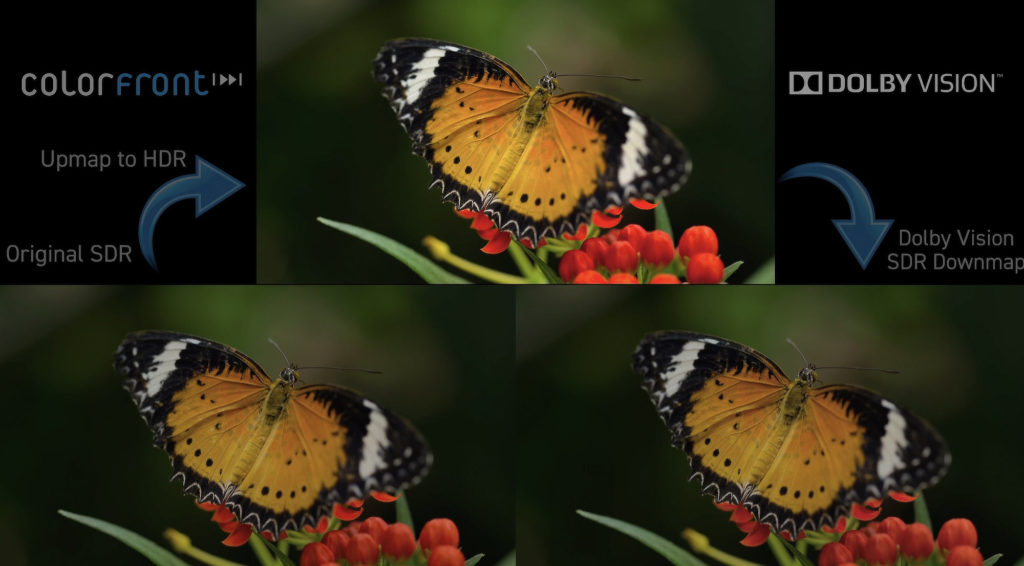 NAB 2024: Colorfront reveals support for Apple Vision Pro by Jose ...