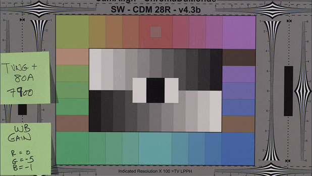 CANON C300: Trimming White Balance, Plus a Look at Daylight vs. Tungsten Color 35