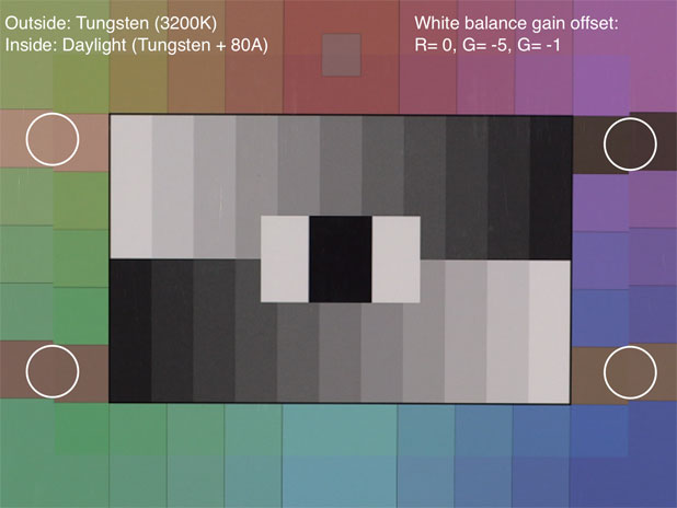 CANON C300: Trimming White Balance, Plus a Look at Daylight vs. Tungsten Color 46