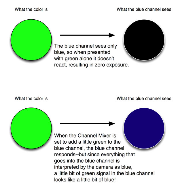 RED's Blue Noise: Where It Went, and Other Color Anomalies You Should Know About 61