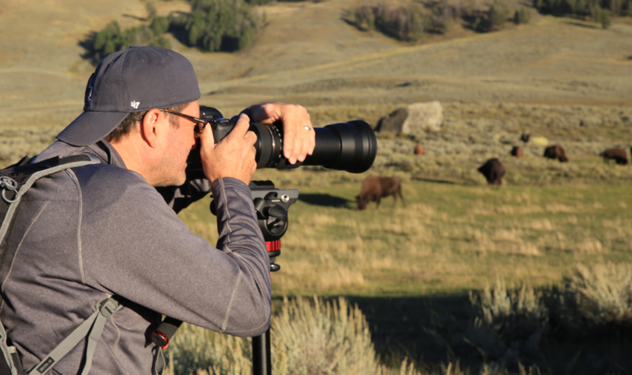 11 Tips to Photograph Wild Animals Without Getting Killed 20 photograph-wild-animals-1