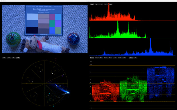 CAMERAS: Rough Guide to Color Grading with the DSC Labs OneShot 41