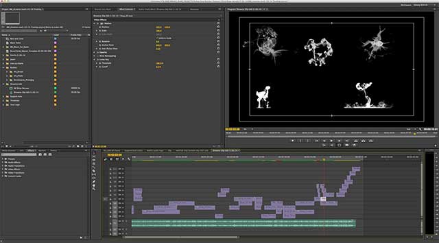 Jason Harvey creates video content for Bruno Mars using Adobe Premiere Pro CC 18