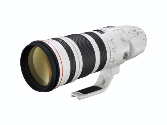 A Look At Canon's New 200-400 F4 L IS Lens 6