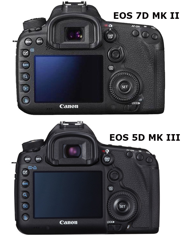 EOS 7D Mark II: the Baby EOS-1D X 6