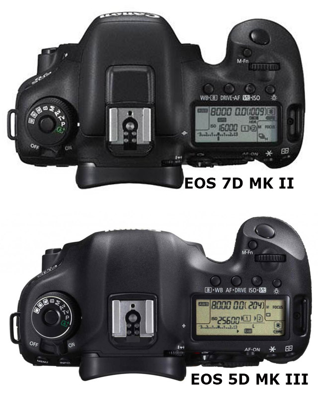 EOS 7D Mark II: the Baby EOS-1D X 12