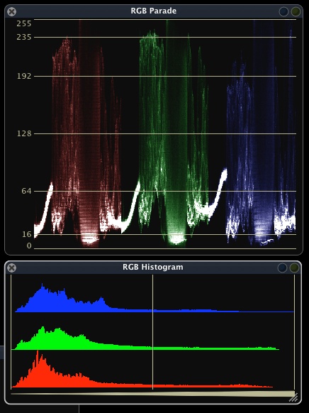 ScopeBox 3.3: Affordable and customizable video scopes 11