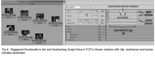 Stills in Final Cut Pro 28 image