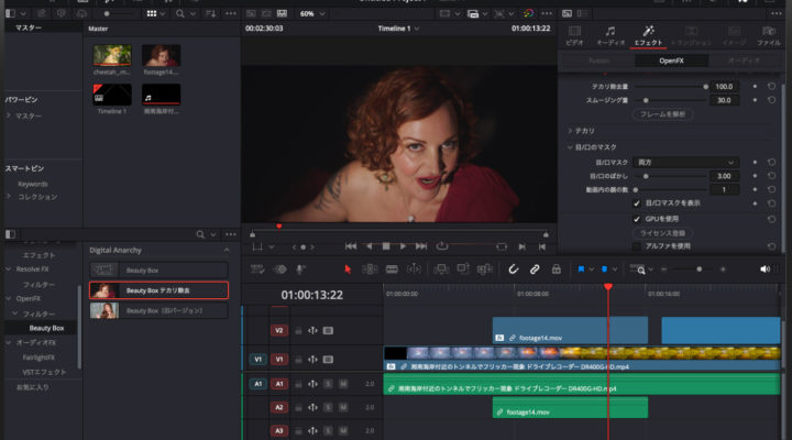 Digital Anarchy: VFX plugins now have Japanese versions