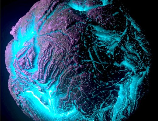 After Effects Portal February 2026 26