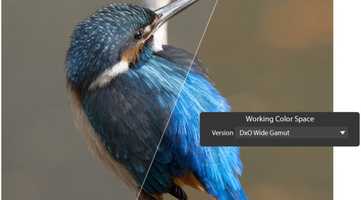 DxO PhotoLab 6.3 has new Wide Gamut and Soft proofing options