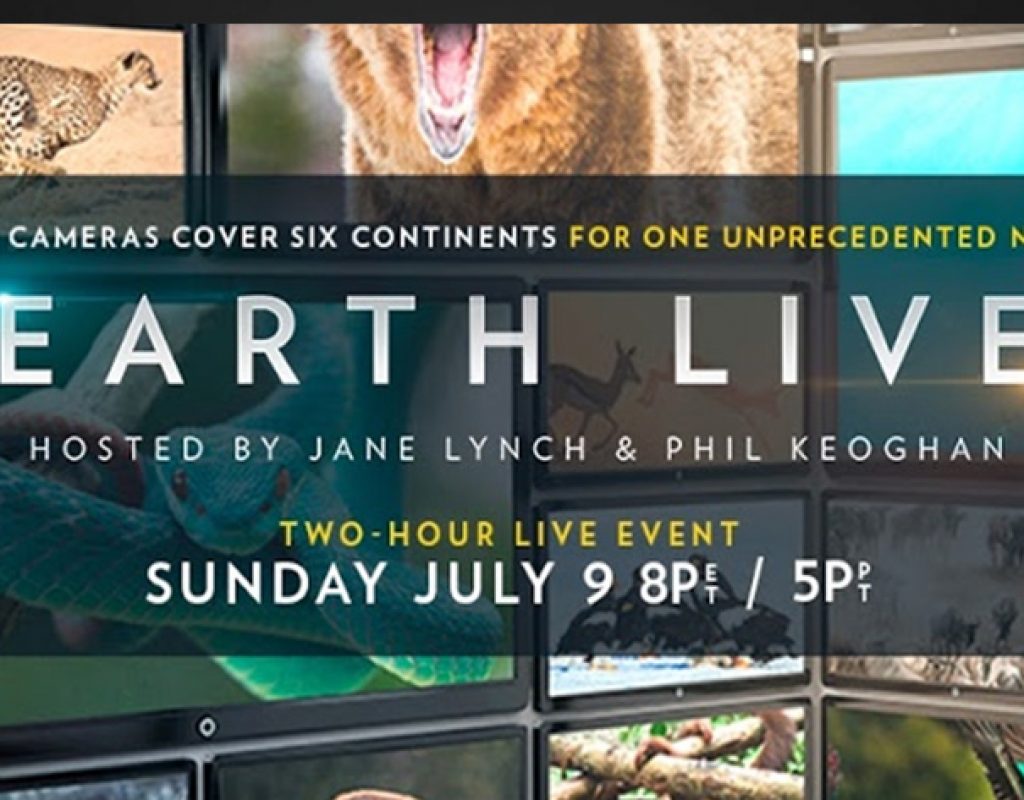 Earth Live: wildlife live in your living room