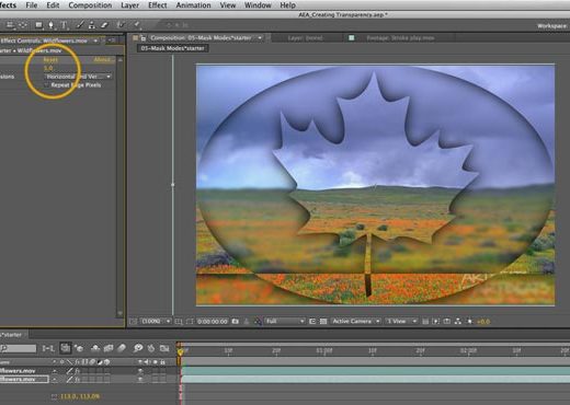 After Effects Apprentice: Creating Transparency 29