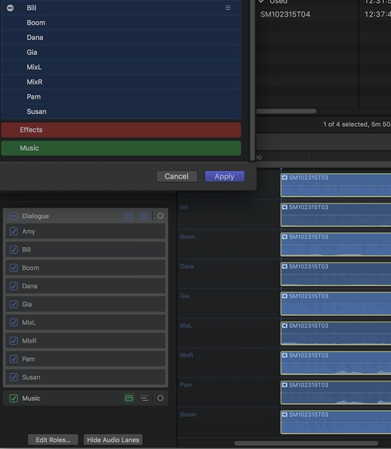 Above it a wav file with iXML data imported into FCPX 10.3. A nine channel wav with each channel getting metadata for the talent.