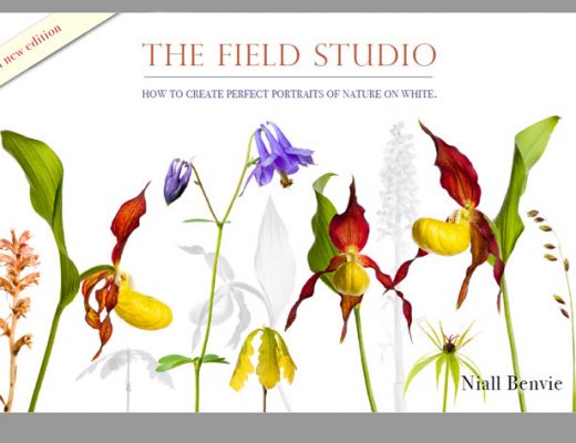 The Field Studio: the eBook to meet and photograph your neighbours