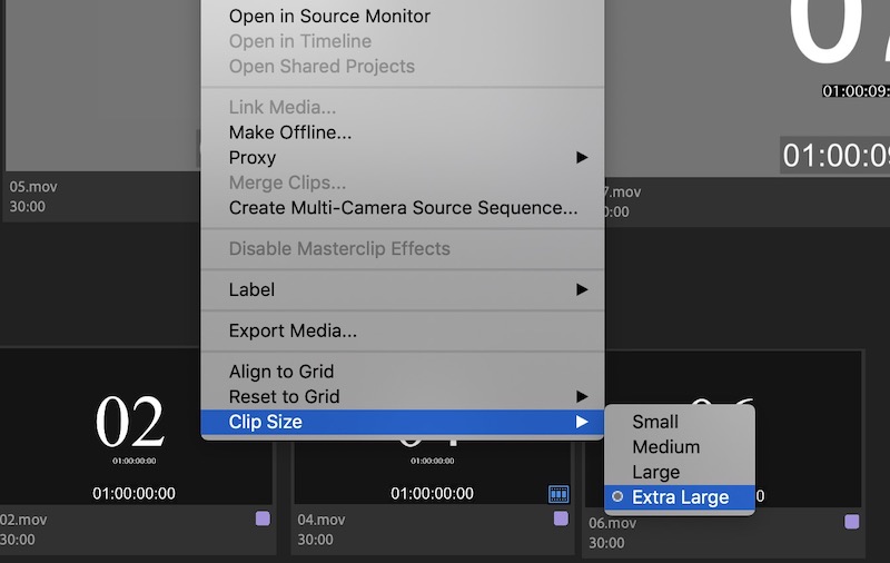 Adobe Premiere Pro size