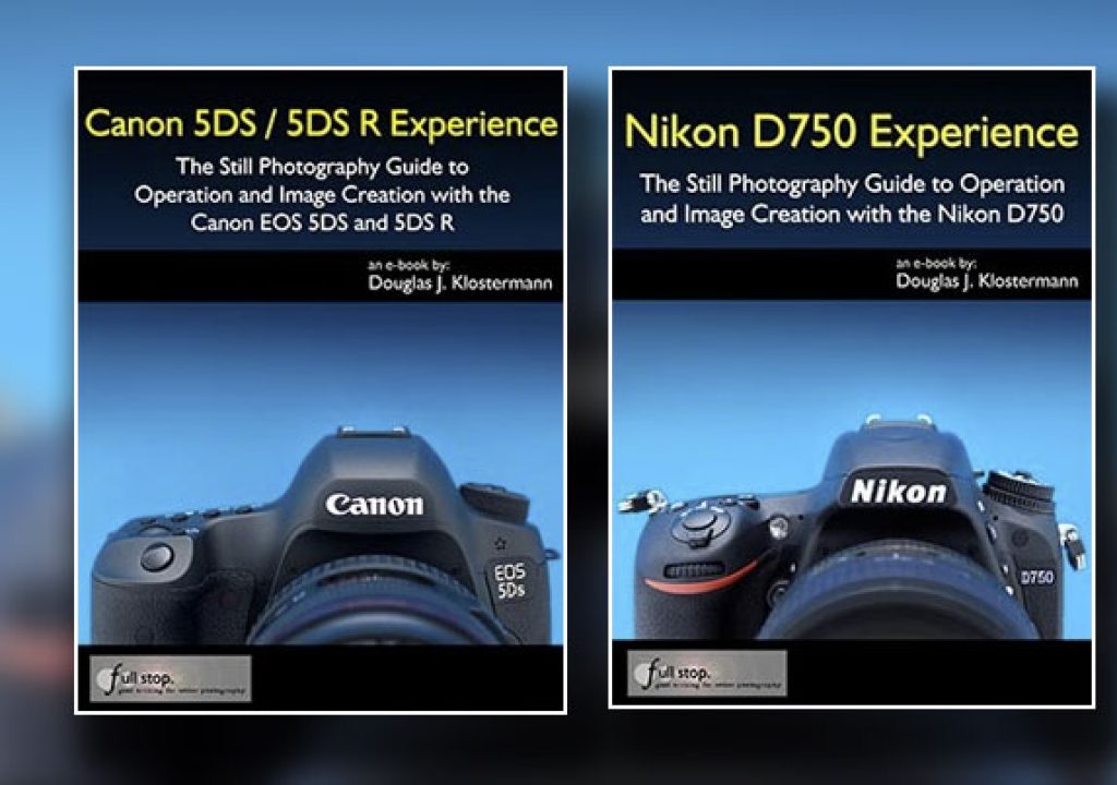 Canon and Nikon: fifth anniversary of Full Stop guides 1