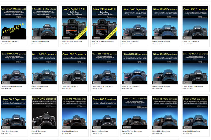 From Nikon Z6 to Canon R or Sony a7: guides to make sense of mirrorless