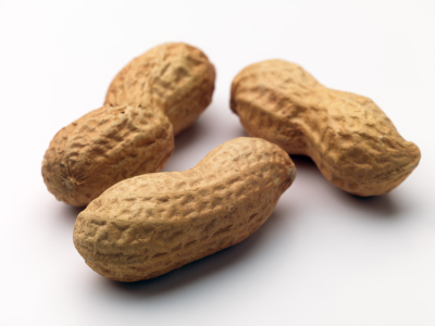 iStock_000004608179XSmall.jpg