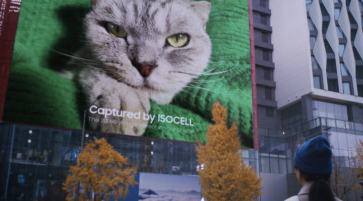 A 200MP cat to promote Samsung’s ISOCELL image sensor