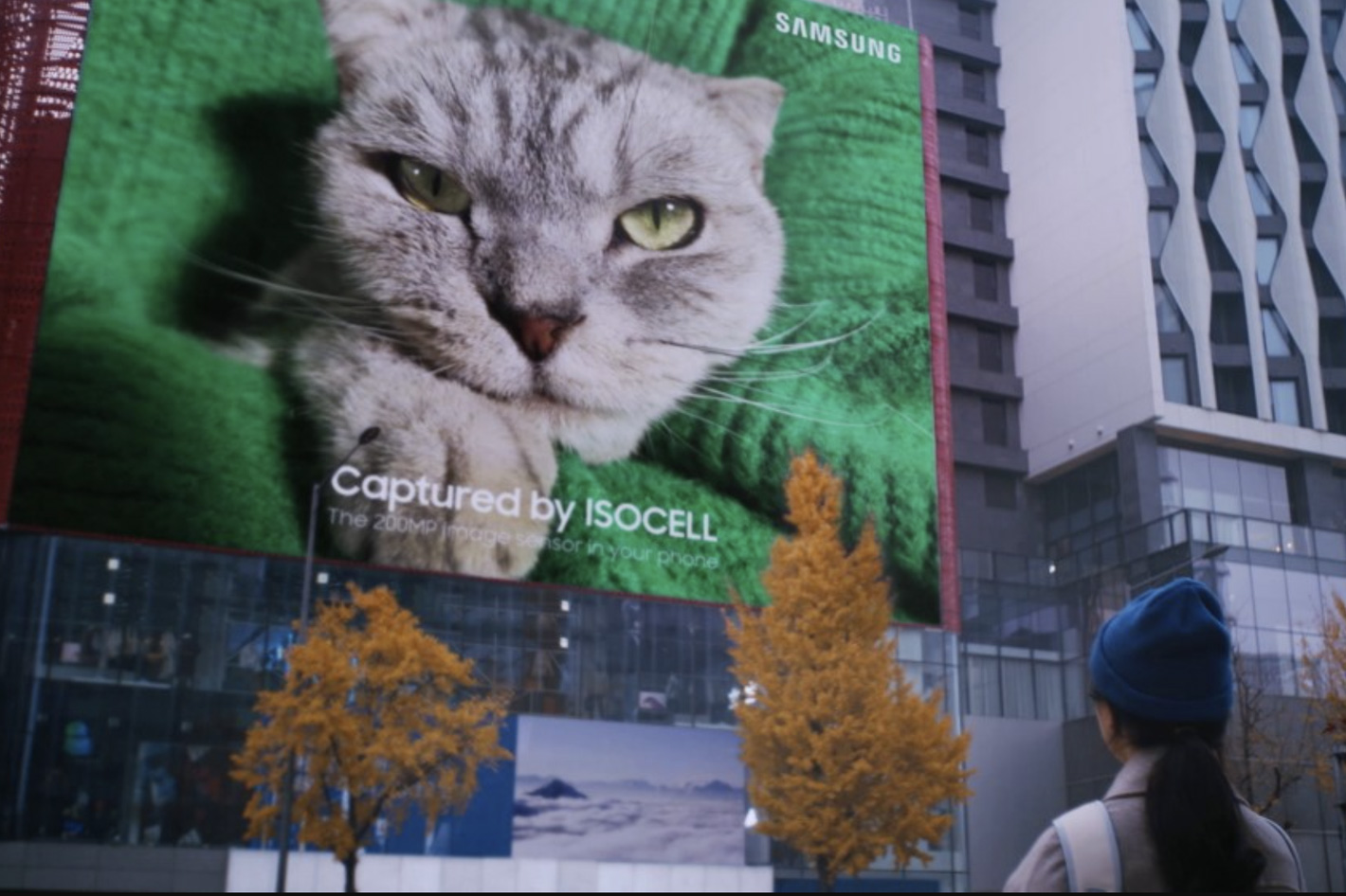 A 200MP cat to promote Samsung’s ISOCELL image sensor