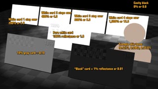 logVideo_03_anotated_320.jpg