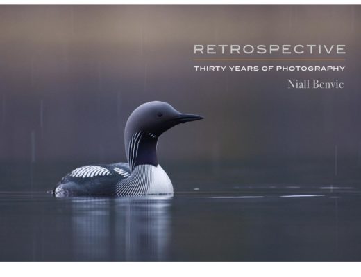 Retrospective: Thirty Years of Photography, a new eBook by Niall Benvie