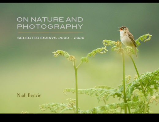 Niall Benvie’s new eBook: a post-Covid -19 photography passport