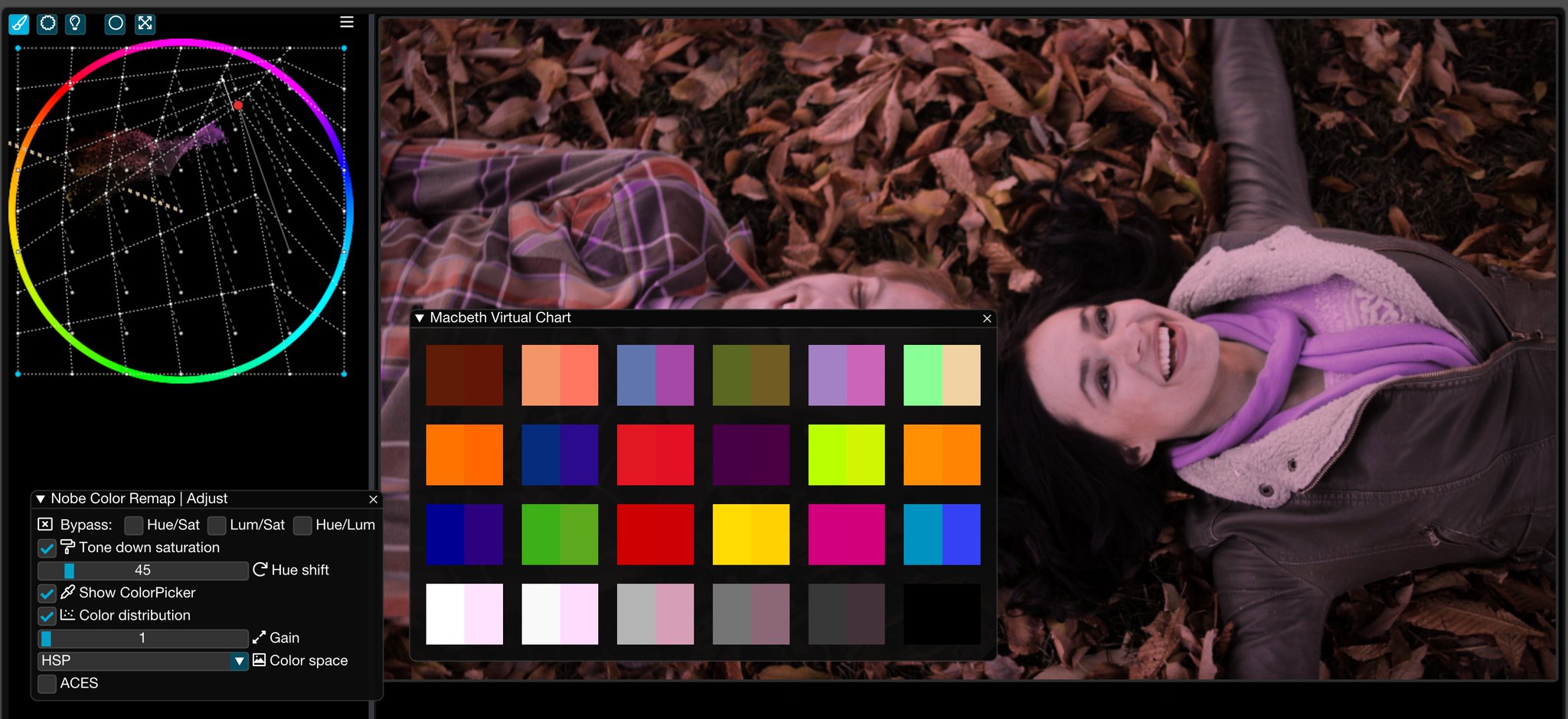 Nobe Color Remap for all your post-production tools. The original Color Warper 8