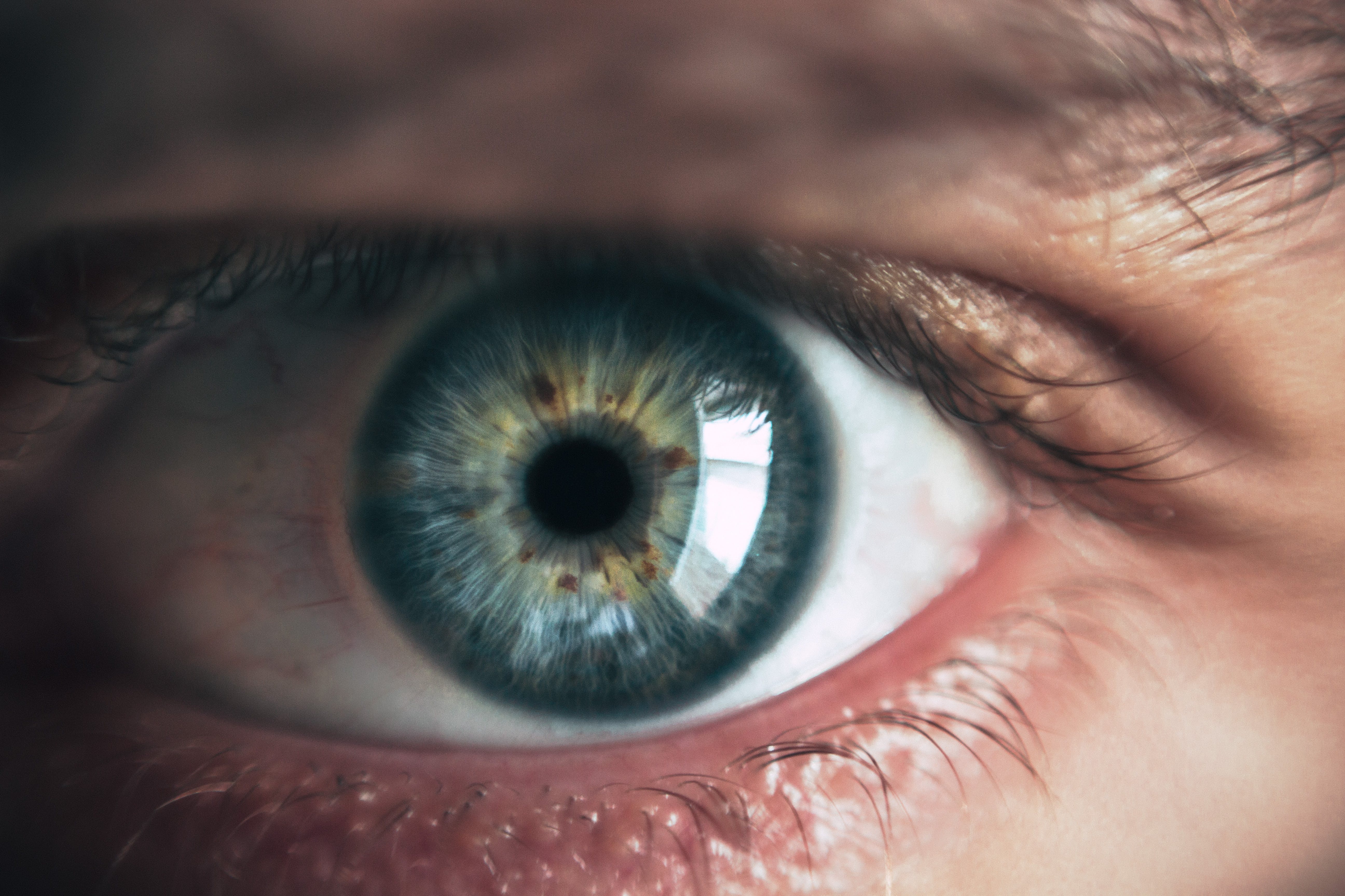Extreme closeup of a human eye.