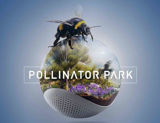 Pollinator Park: using Virtual Reality to help pollinating insects