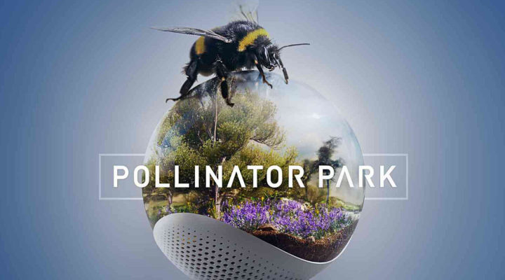 Pollinator Park: using Virtual Reality to help pollinating insects