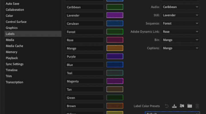 Adobe Premiere Pro (Beta) updates Labels. Editors rejoice. 1