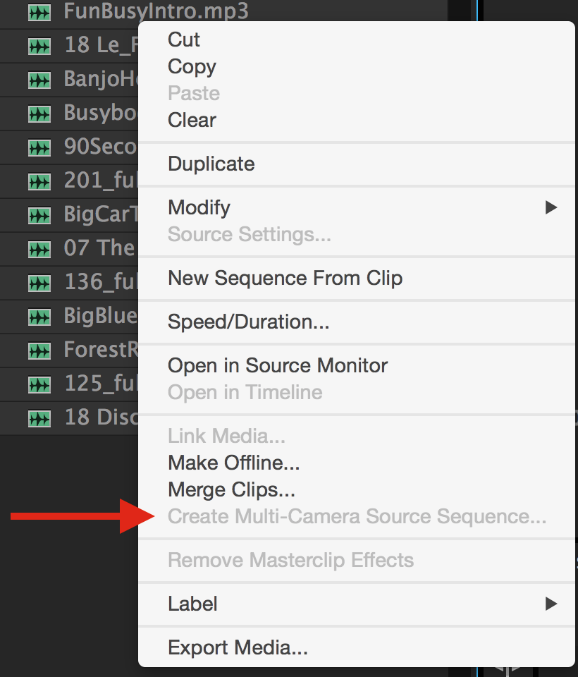 Day 10 #28daysofquicktips - Create an Audio-only Multicam Clip in Premiere Pro 57