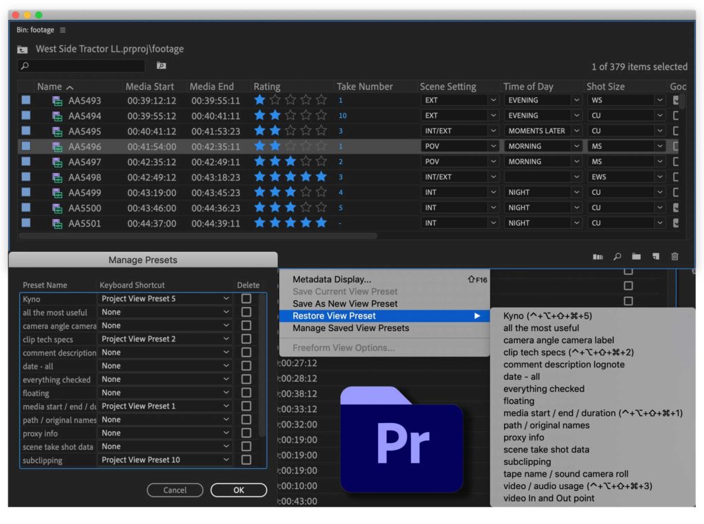 Download my free set of Adobe Premiere Pro Project View Presets 9