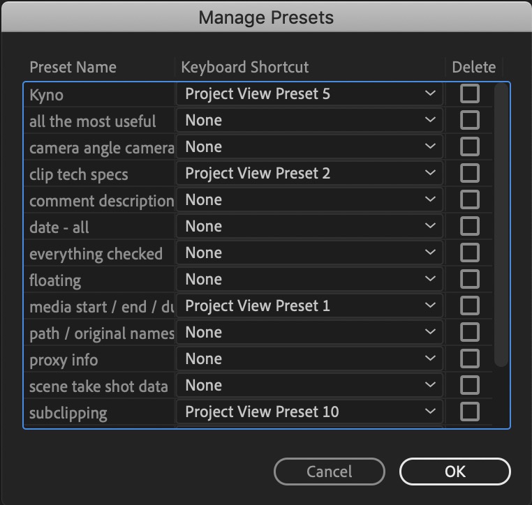 Download my free set of Adobe Premiere Pro Project View Presets 17