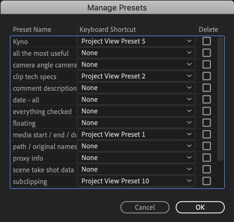 Download my free set of Adobe Premiere Pro Project View Presets 30