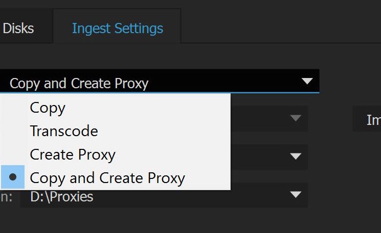 If you choose to use Ingest you'll have 4 options for media creation and media management.