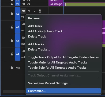 Tool Tip Tuesday for Adobe Premiere Pro: See Track Names at Minimized Track Height 16