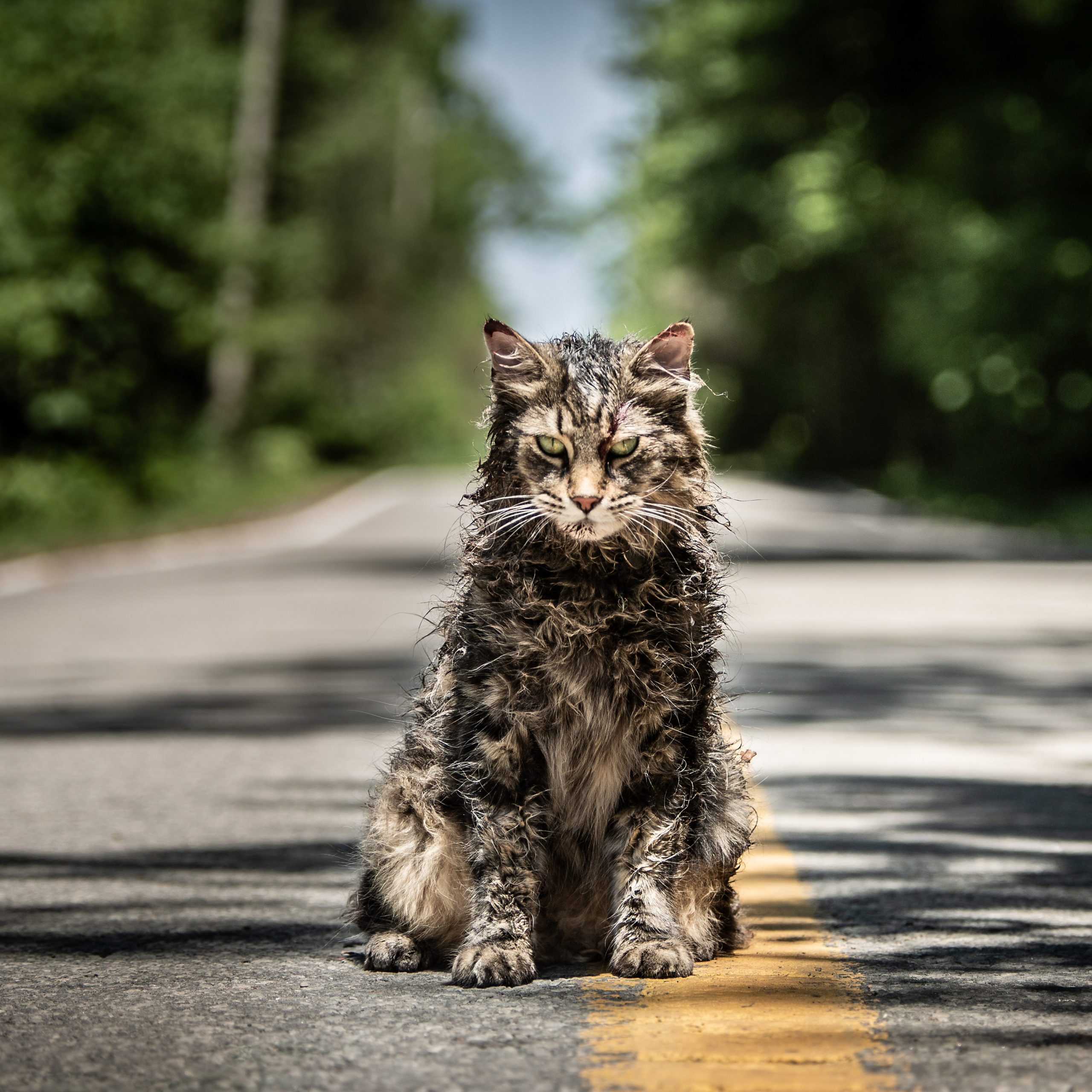 ART OF THE CUT WITH "Pet Sematary" editor, Sarah Broshar 1